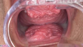 Pjgirls presents 2019-10-11 – Twinkie – Inside Twinkie - [Fisting porn videos]