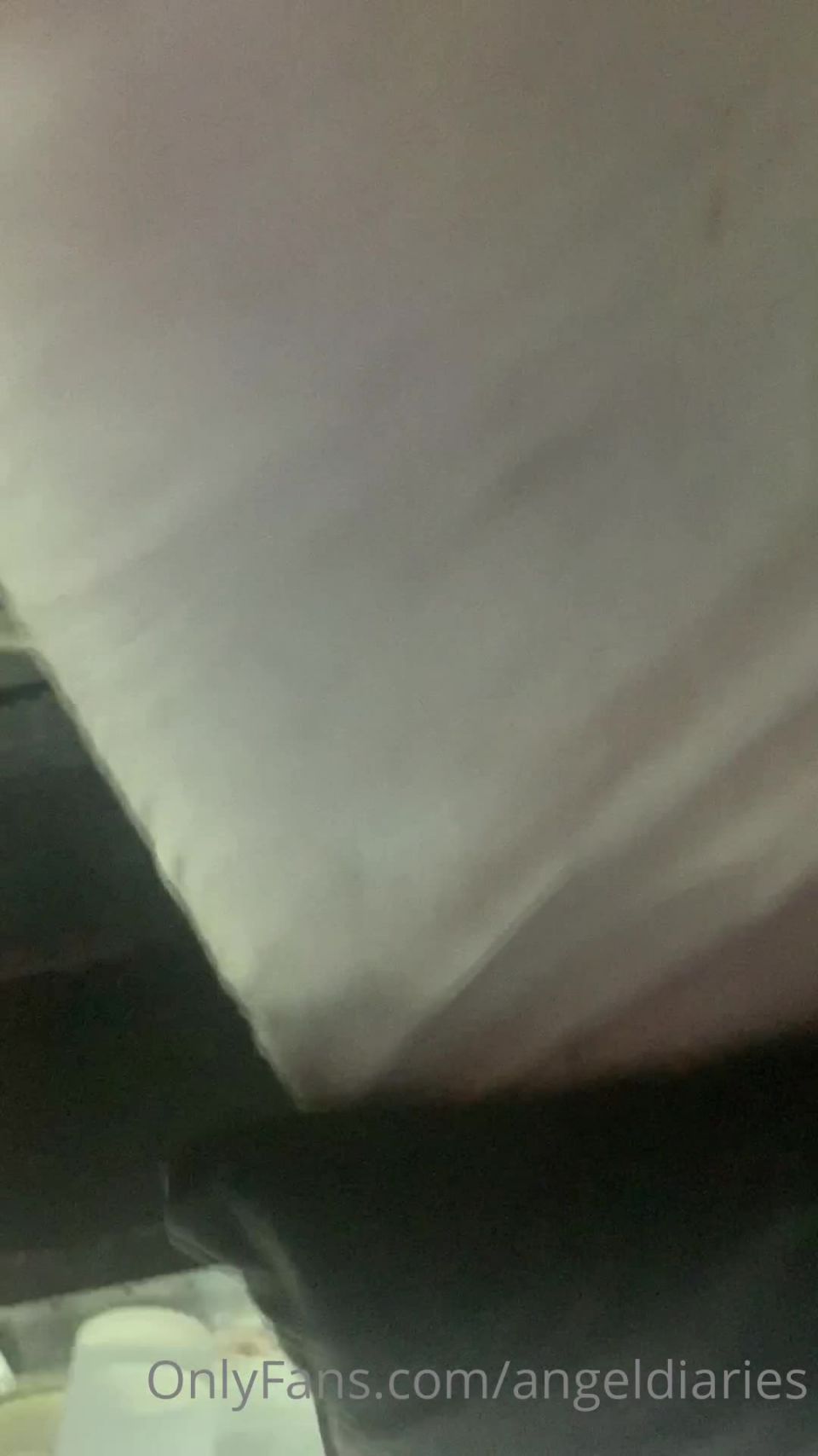 7307 Diario Angel S 8