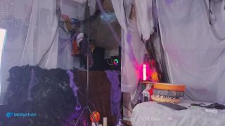 Mollyflwers 002 mollyflwers 2024-10-16 20-03