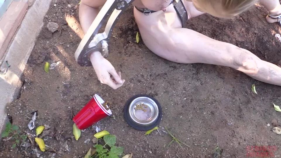 SeriousImagesHERE KITTY KITTY