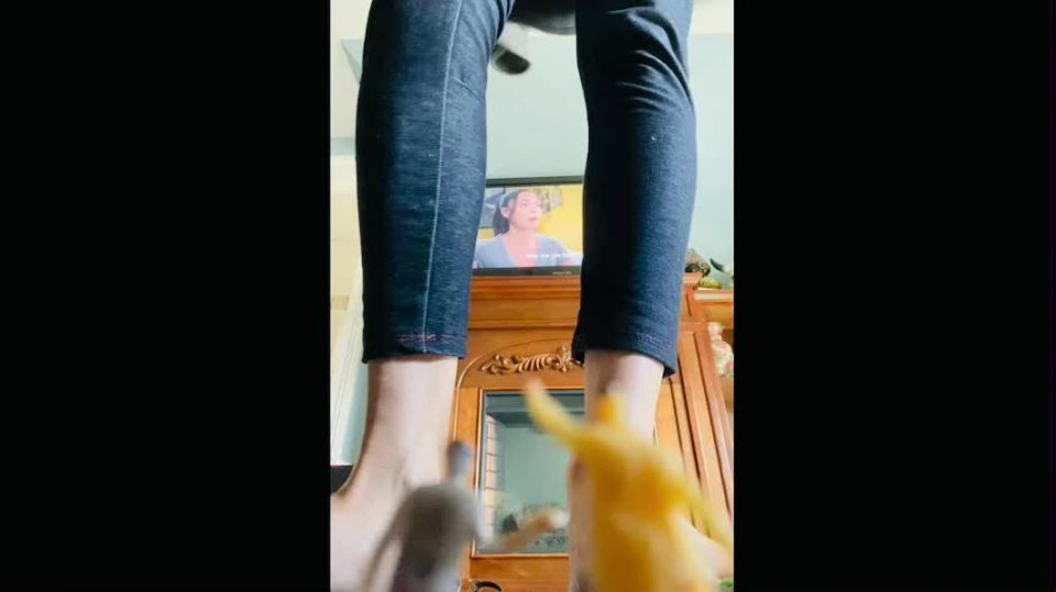 free porn video 22 QueenMotherSoles Shrunk Son on fetish porn fetish personals