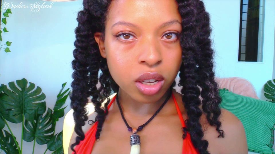 Maestro Skylark, no mires lejos, FullHD 1080P