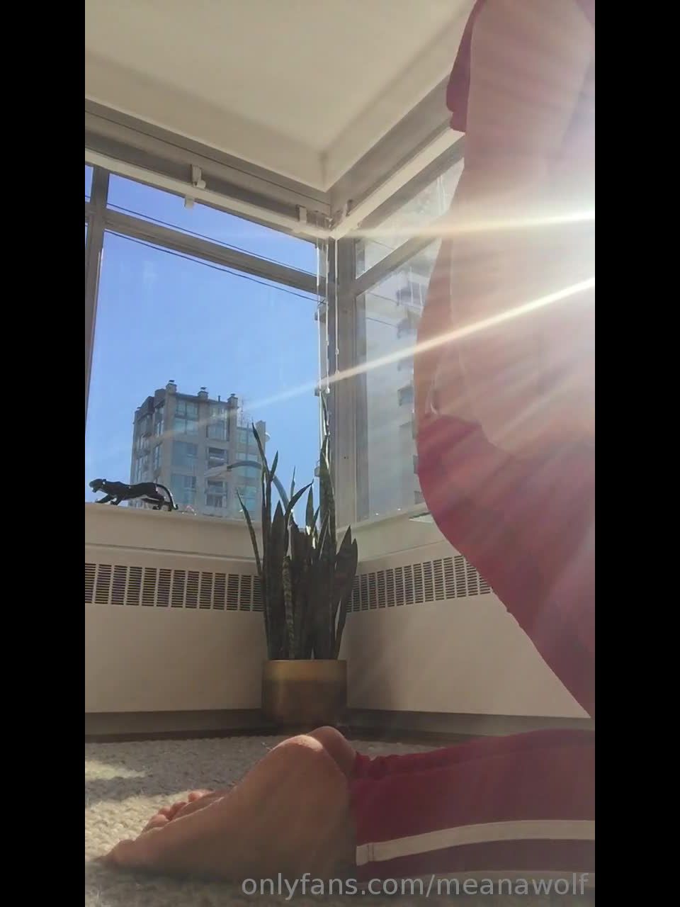 Meana Wolf – Meanamademebi 01-03-2019 A Little Booty Tease For My Good Boys Xoxo - (Webcam)