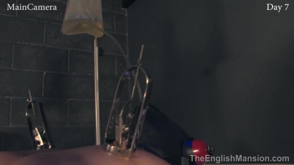 Grabación en tiempo real 24/7 Esclavitud - Día 6 y 7 Video Sexo...