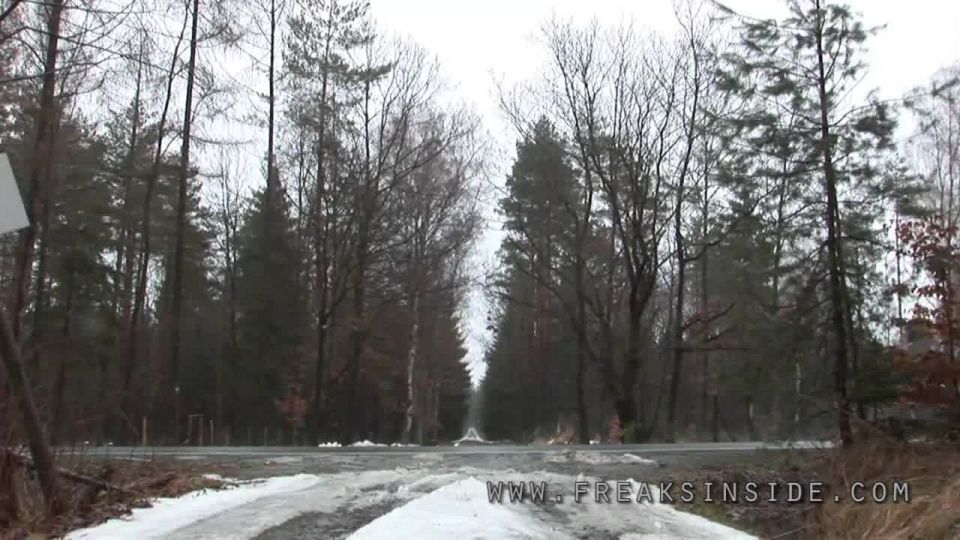 El Reindeer vino demasiado tarde, la segunda parte, Lady Serafina Merc...