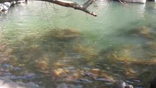 Galitsin News 234   Indian Impressions  (mp4)