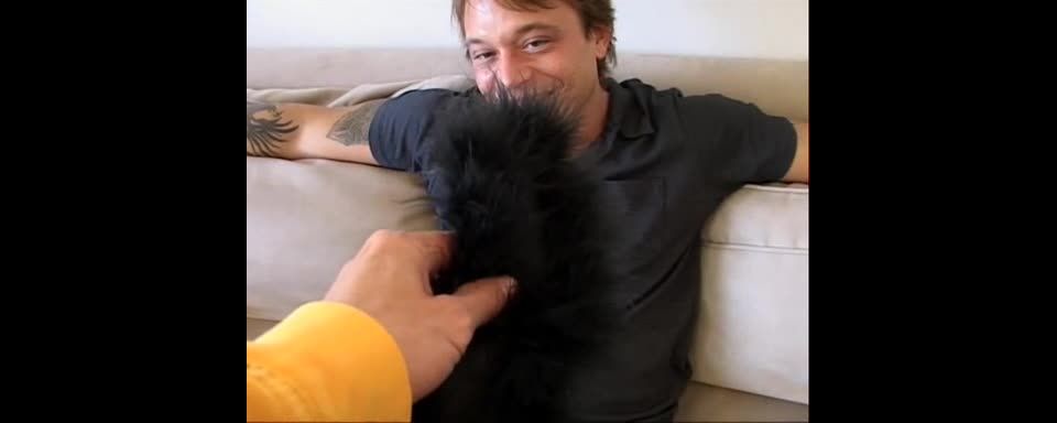 adult video 38 Seymore Butts’ The Anal Express (2005) - full movies - hardcore porn xvideos hardcore