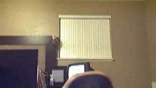 AmericanKittens 070124 daisy webcam 1