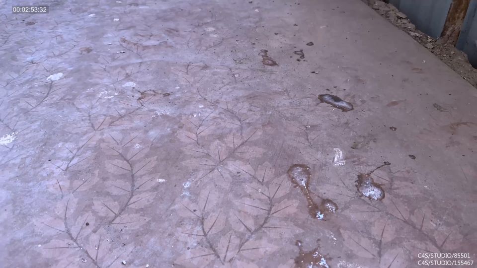 Wildcats Mi esclavo doméstico lava los platos y hace limpieza alrededor de la casa (Porno femenino)