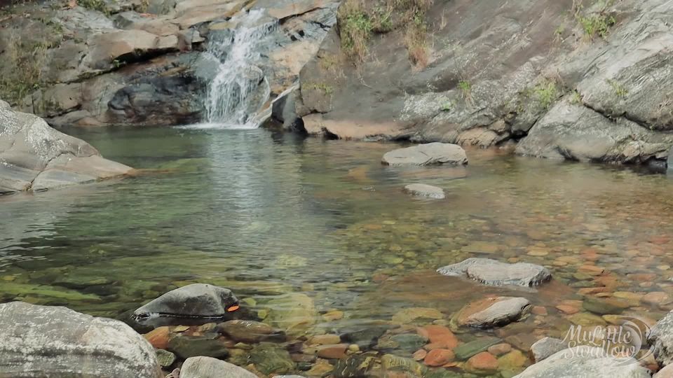 xxx clip 32 teen s blowjob pussy licking | MyLittleSwallow – Sex in the Nature in Waterfall | mylittleswallow