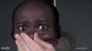 Bellah Dahl Tal Dahl Descargar nuevo vídeo porno modo rápido...