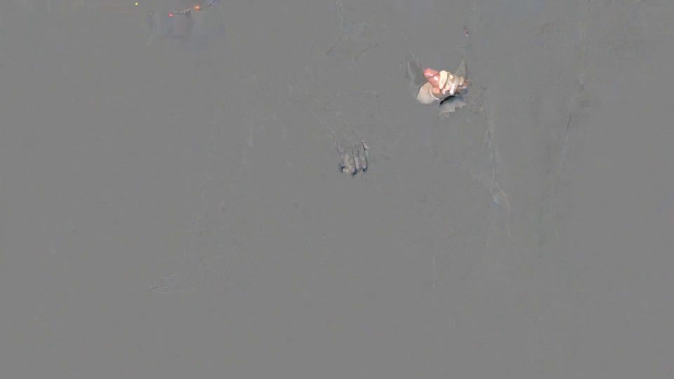 Alina Rose STEP SIS BIG ASS PANTYHOSE SEX AND THIGHJOB CUMSHOT