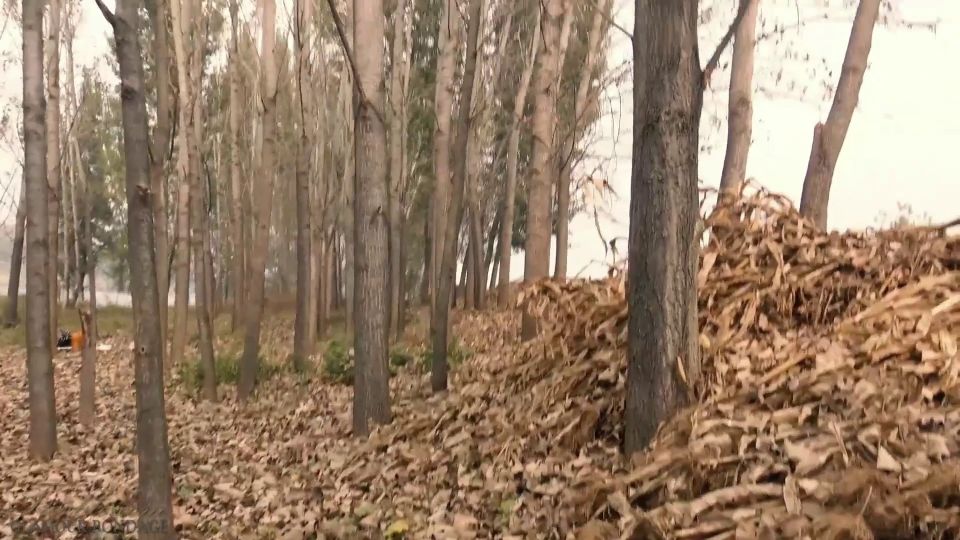 The best reverse prayer in the world Download New Porn Vi...