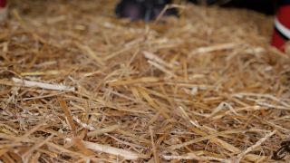 7120 Crempie & Bukkake Compilation - Anal Fisting ⁄ Cosplay ⁄...