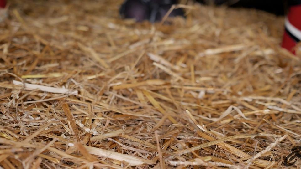 7120 Crempie & Bukkake Compilation - Anal Fisting ⁄ Cosplay ⁄...