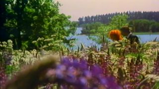 [GetFreeDays.com] Bel Ami (1975) hot vintage porn