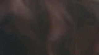 7193 Desvergonzada 1982