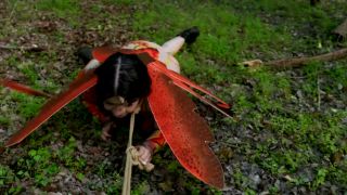 adult clip 47 bowsette femdom Just a Little Anal Bug in the Grass, whipping on anal porn