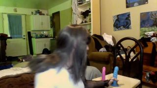 Online Tube Shemale Webcams Video for October 25, 2019 - shemales