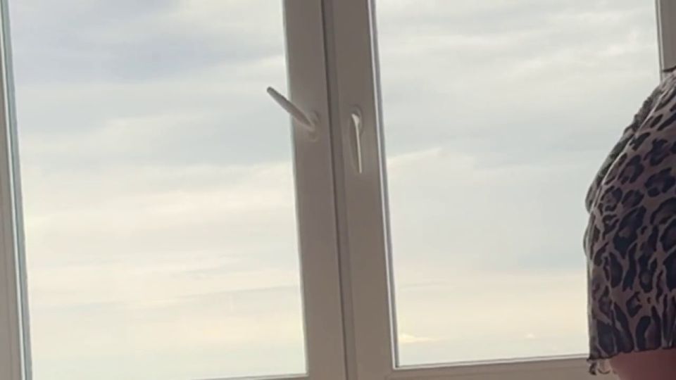 HollyHarlot - sexy cleaning lady in short dress