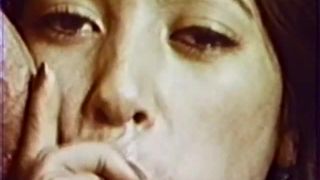 Collection Film 056: Oriental Dish(Vintage)