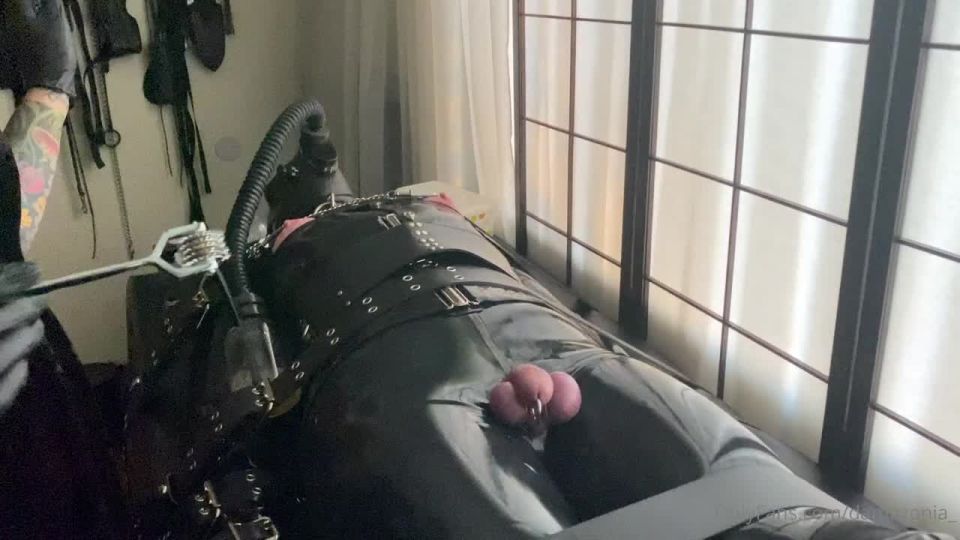 free online video 18 gay rubber fetish Play Time With My Pets, femdom stream on fetish porn