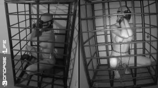 clip 8 Bondage Life – Más tiempo de almacenamiento para galgo - bondage - fetiche de dinero porno femenino