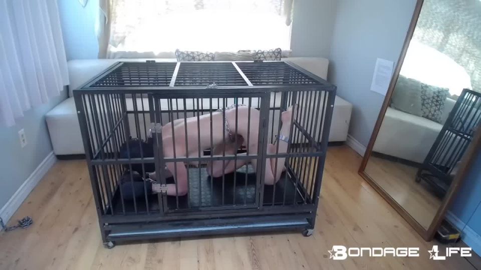 adult clip 2 bdsm metal bondage bdsm porn | Bondage Life – Playful Cage Time – 7/2/2021 | bondage