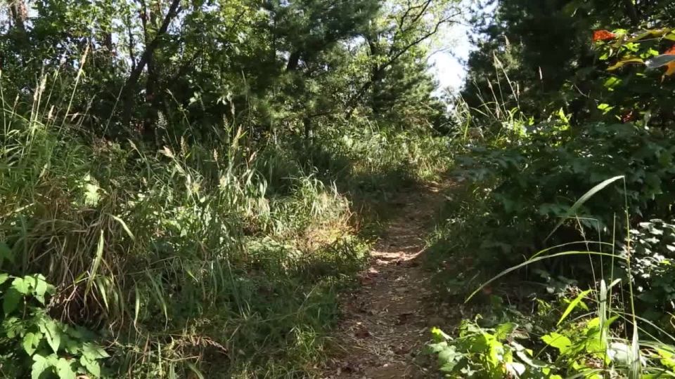 [supermisses.com] Wunder Máscara de mujer de Kashnaktu 2 Máscara de mujer de Kashnaktu 2  superheroínas porno, superhéroeine, mujer maravilla