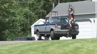 Casa de Gord18 03 02 Mina Meow - Caja de aves eléctrica (Escena)