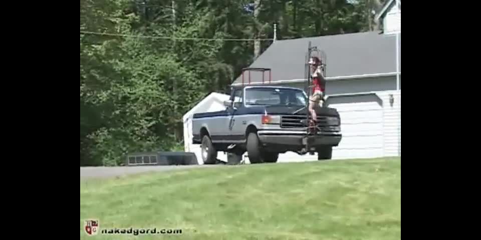 Casa de Gord18 03 02 Mina Meow - Caja de aves eléctrica (Escena)