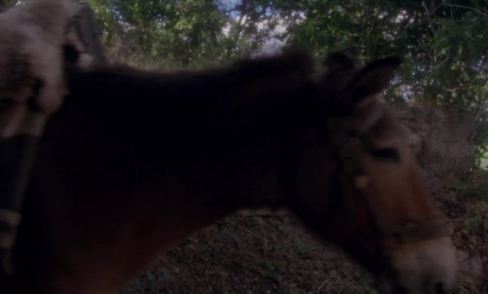 El caminante (1979)!!!