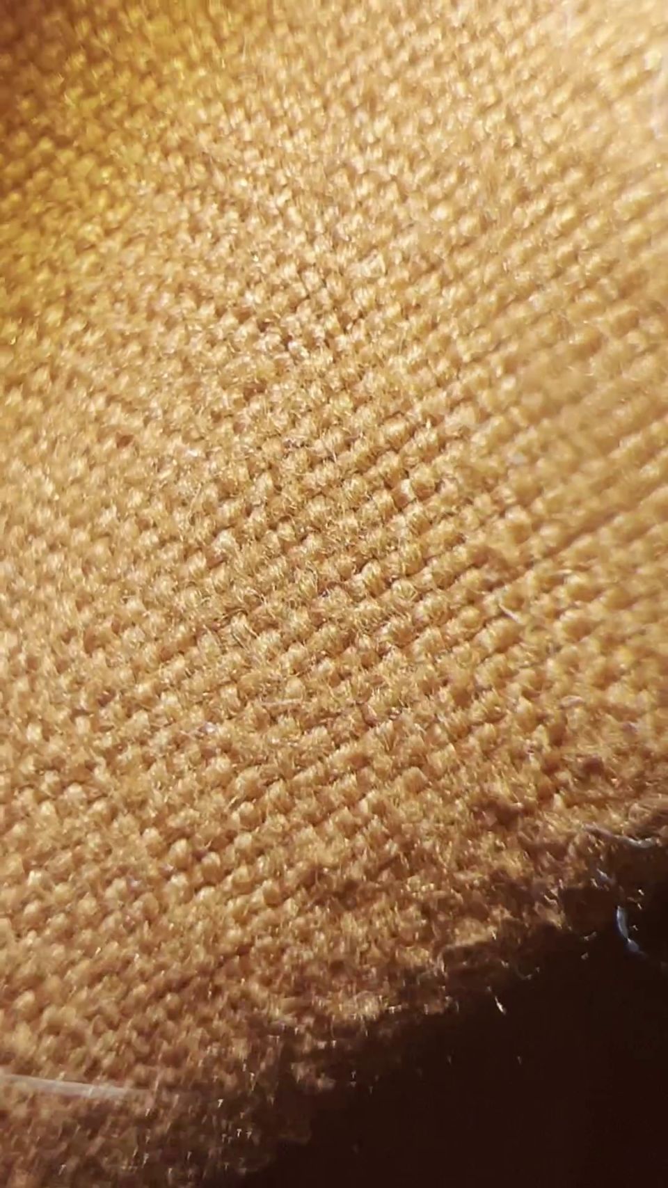 [ManyVids] Longhairluna Manyvids.22.12.11.Longhairluna.Audio.Only.Sex.Audio 