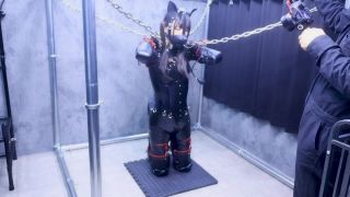 Lemon ヒトイヌ膝立ち ショート２