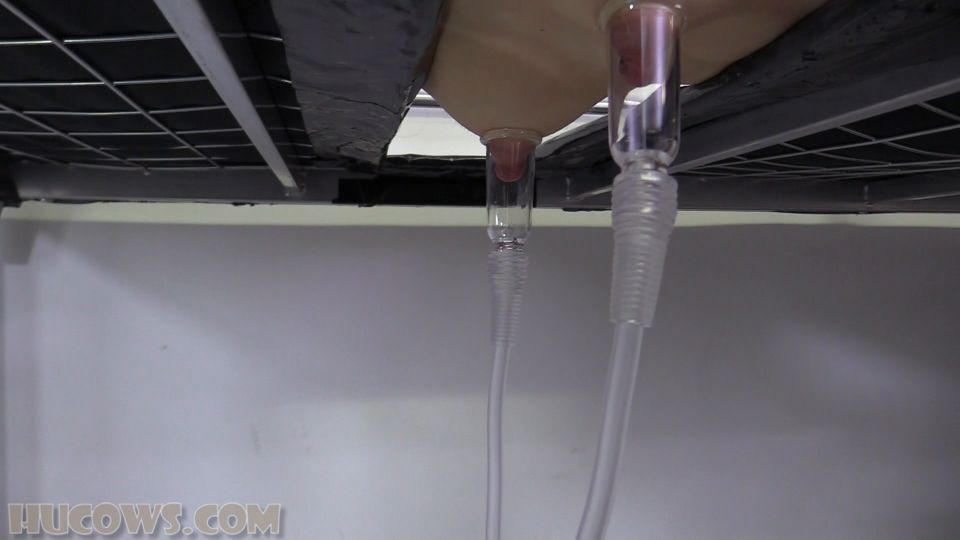 Dina Ket Tiny  Pet Quick View Porn - New Sex Videos Online