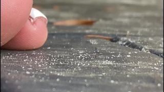 adult video 37 Worldunseenfilms – Micro Cutting Room Floor 2 | giantess video | fetish porn amber deluca femdom