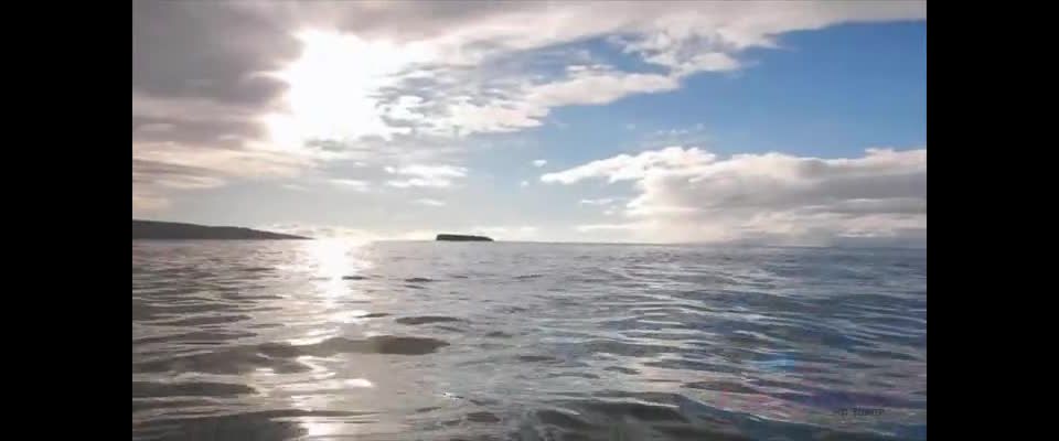 online adult clip 18 german feet fetish You hit the nude beach and then Emily gets you off!!!, foot on feet porn