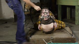 142 - Cojinete de ranas de diamantes Parte 2.