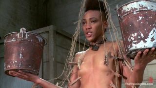 online xxx video 33 El entrenamiento de Nikki Darling, Día Cuatro  pies  pies porno pies aplastar fetiche