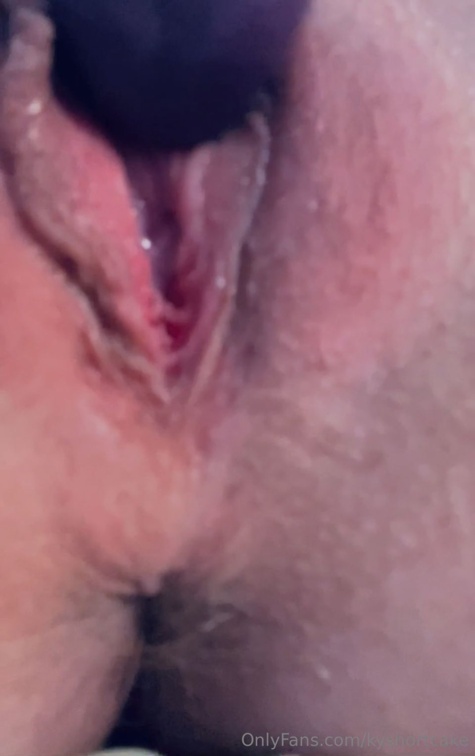 KyShortCake 2024-04-23 0hp13epcbmum2x0wq8w0j fuente