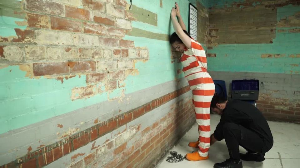 GotCuffs_annasecuritytransport1