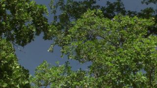 Asian Biker Gets Fucked By American Dick.