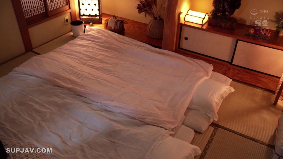 Reduciendo el mosaico SSNI-709