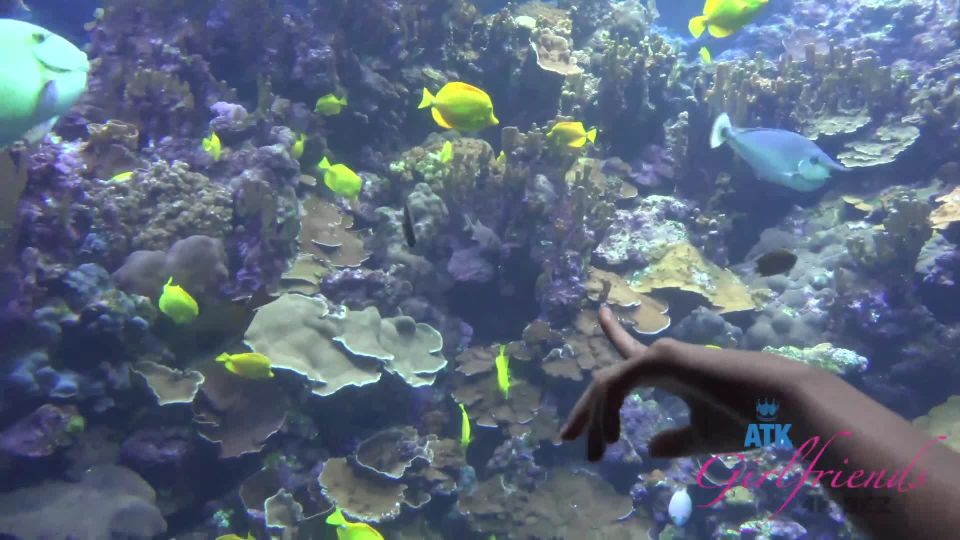 ATKIRLfriends 24 03 10 Compilation XXX 1080p MP4 - WRB - Atkgirmfriends