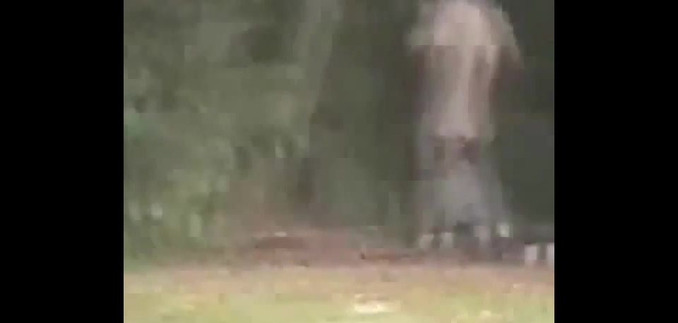 free video 41 Massive Ebony Groupsex Party At Daytime In A Park on hardcore porn young amateur couple