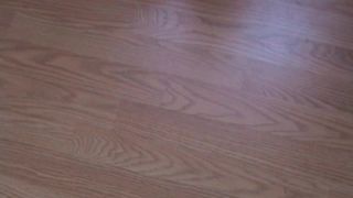 [SiteRip] SheMuscleGym cassandraFloyd-640wmv-001