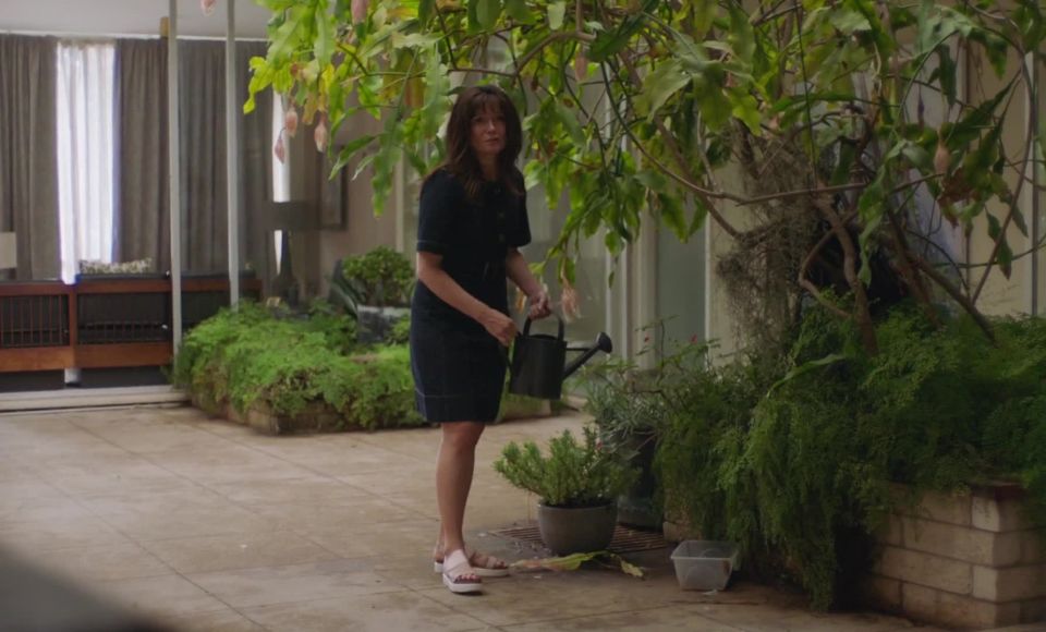 Essie Davis, Eliza Scanlen - Babyteeth (2019) HD 1080p - (Celebridad porno)