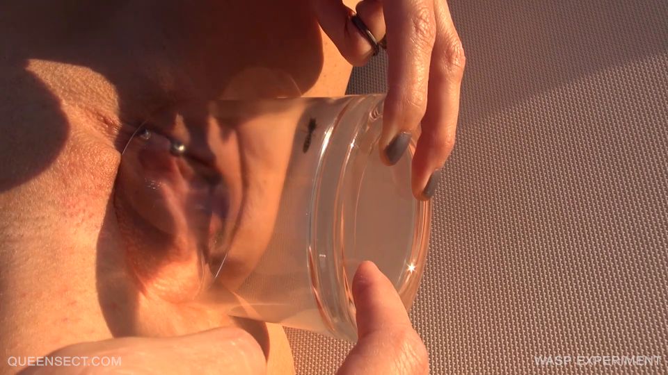 Experiencia de la WASP 2017 Septiembre 15 1080P - Qs