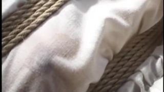 thepAINFILES COMyakura