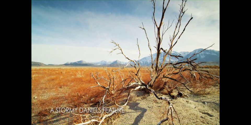 Vista previa de DVD_Se busca